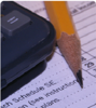Cheryl A. Alleman CPA, PA Logo