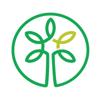 Angel Oak Creative Logo