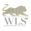 WLS Professional Services Logo