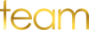 Team Accountants Brisbane Logo