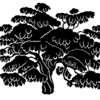 Clean Forest Web Solutions Inc. Logo
