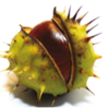 Conker Communications Logo