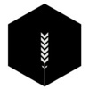 Contversion Logo