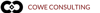 COWE CONSULTING Logo