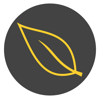 Creation Studios Logo