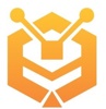 Digital Hive Solutions Logo