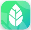 Color Leaves Logo
