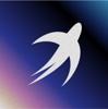 Martlet Studio Logo