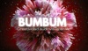 BumBum Communication Logo
