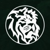 Law Office Arsulescu Logo