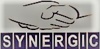 Synergic Management Consultants Private Limited Logo