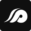 Soft Pulse Logo