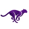 DUMA Software Logo