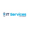 IT USA Services Logo