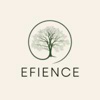 Efience LLC Logo