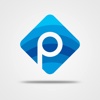 Picasso Multimedia Logo
