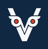 Vizuelo Logo