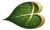 Bodhion Solutions Private Limited Logo