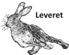 Leveret Systems Ltd Logo