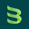 BotiFlay Studio Logo