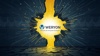 Weryon Impex SRL Logo