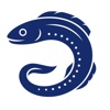 ParraDigital - Digital Marketing Agency Parramatta Logo