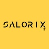 Salorix IT Pvt Limited Logo