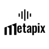 Metapix Media Logo