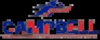 campbell overseas education pvt ltd Logo