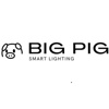 Big Pig Smart Lighting Logo