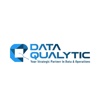 Data Qualytic Logo