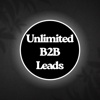 B2B Data Solutions Logo