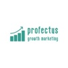 Profectus Growth Marketing Agency Logo
