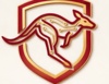 Brisbanewebdesignco Logo