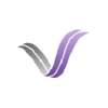 Virtual Ventures Corp. Logo