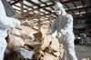 ASBESTOS REMOVAL YONKERS NY Logo