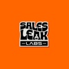Sales Leak Labs Logo