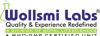 Wollsmilabs Logo