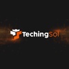 Techingsol Logo