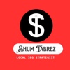 Tabrez SEO Logo