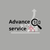 Advance SEO Service Logo