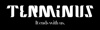 Terminus Advisory Logo