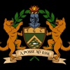 Trade Guild Consulting Logo