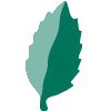 MINT Social Logo