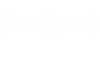 Healthonomix Logo