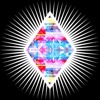 Haus Of Creators Logo