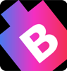 Bitswits Logo