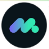 Metasecurity Solutions Logo