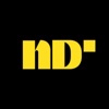 Nowday Logo