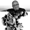 Daniele Di Stefano Logo